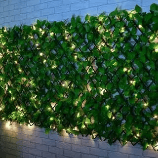 50% OFF TODAY  LightString™