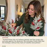 6+6 FREE TODAY | PineFrost™ - Christmas Pine-Cedar Stems