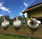 50% OFF TODAY | VibrantRooster™ - The most cheerful garden decoration ever!