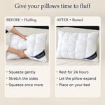 1+1 FREE TODAY | SuiteSleep™ -  Luxury Hotel Pillows