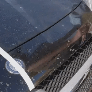 ShineArmor water beading on a hood