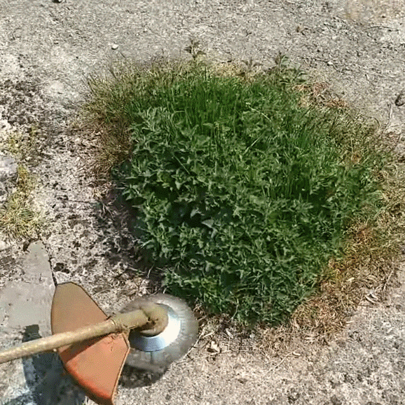 50% OFF TODAY  GrassGuard™ - Trim weeds & grass in no time!