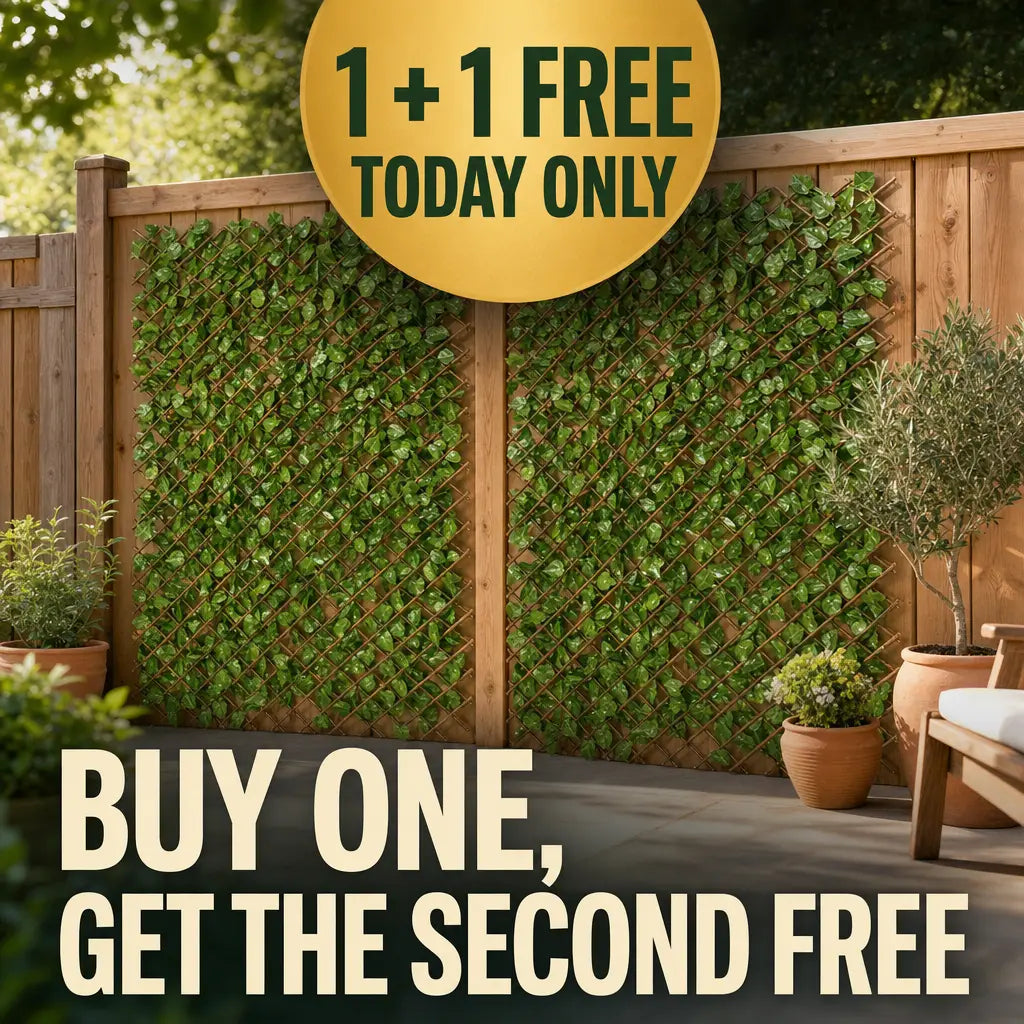 Buy one get the second free, 1 plus 1 free today on Gardenscape