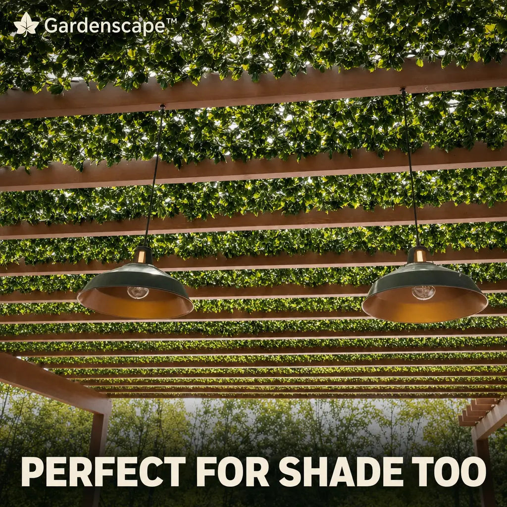 Gardenscape perfect for shade too on a pergola