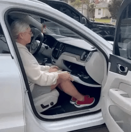 50% OFF TODAY  RiseAssist™ - Car Door Handle