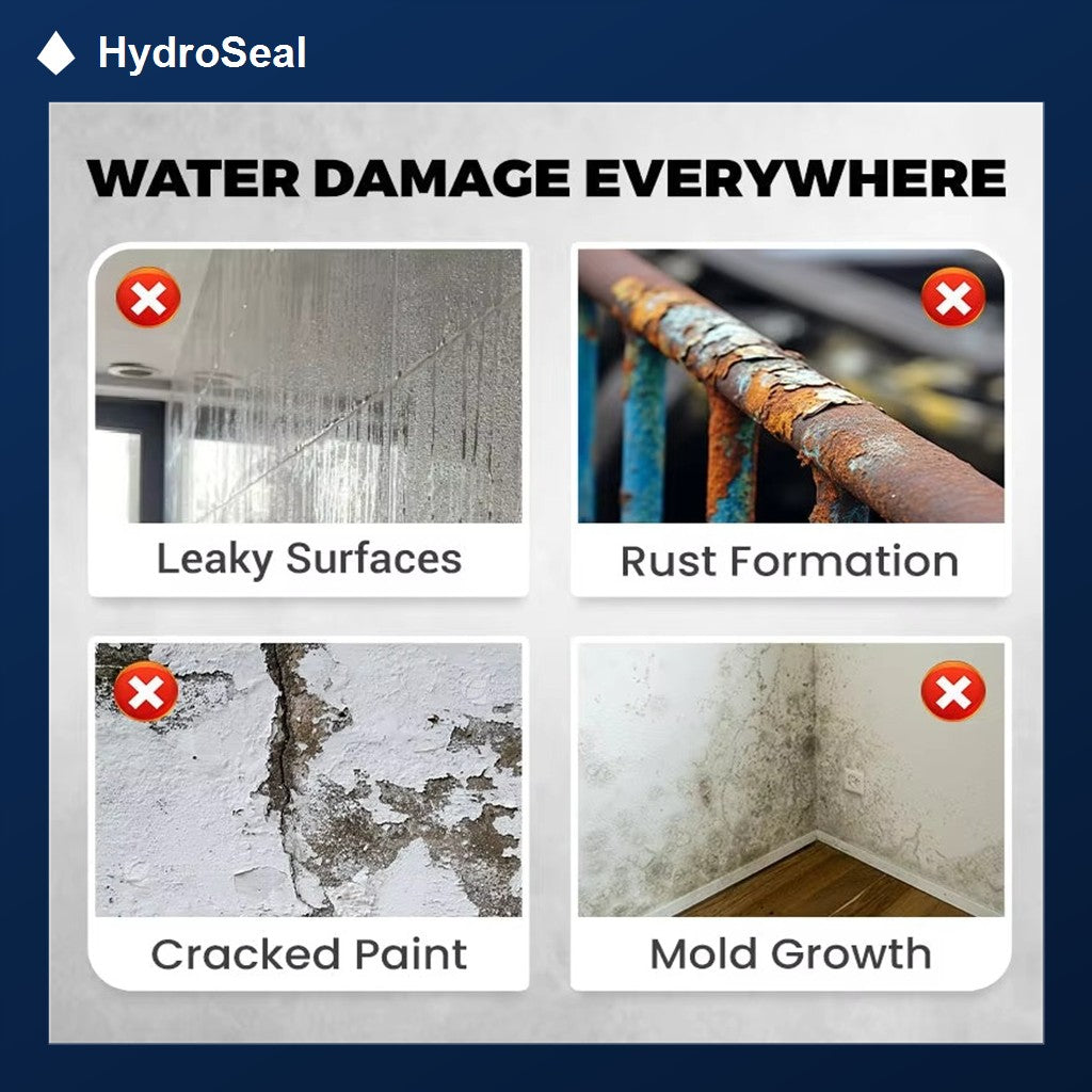 Water damage everywhere, leaky surfaces, rust, cracked paint and mold growth
