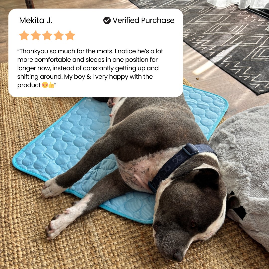 1 + 1 FREE TODAY | ArcticRest™ - Cooling Mat