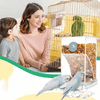 1 + 1 GRATUIT AUJOURD'HUI | TidyTreats™ | Distributeur automatique de nourriture pour oiseaux