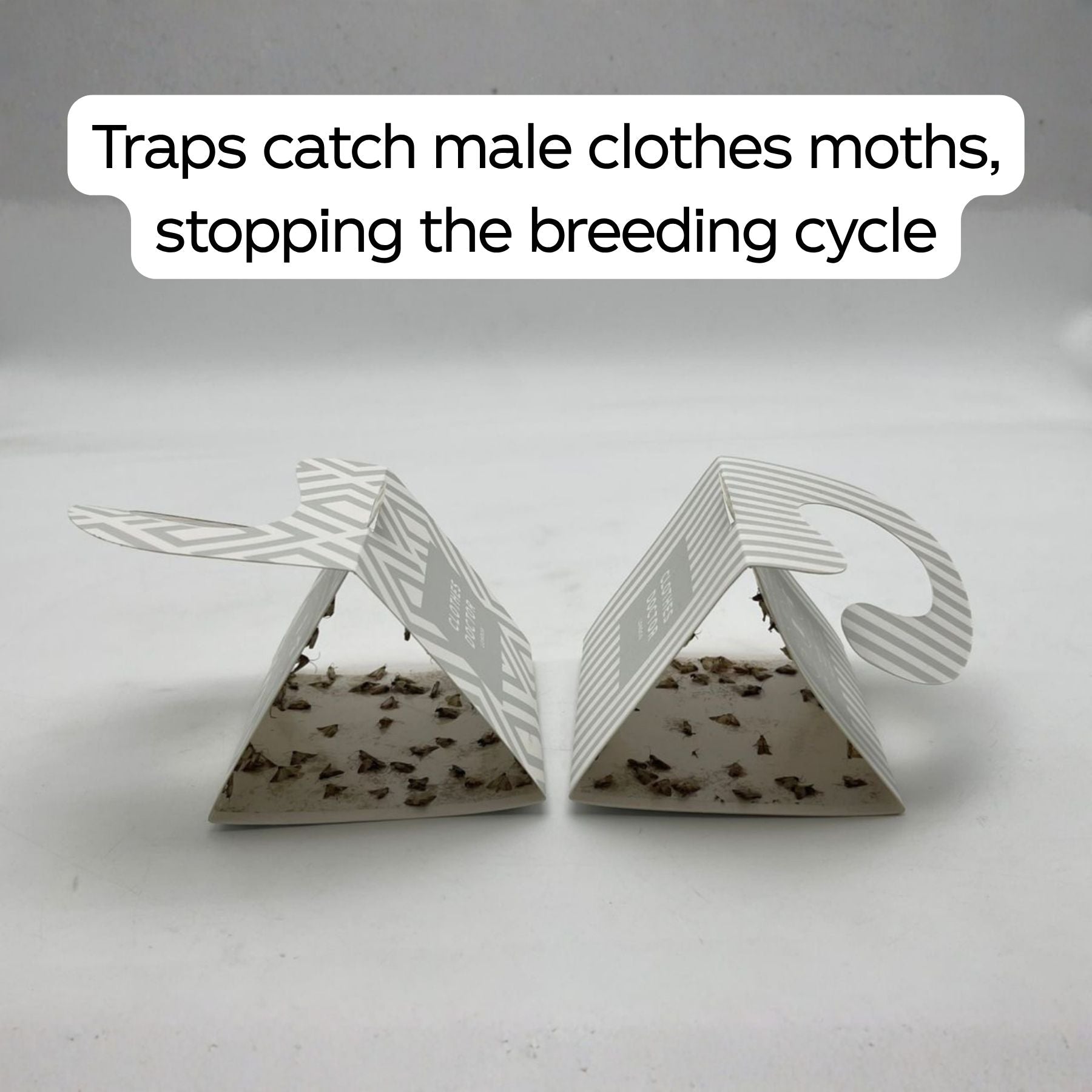 50% OFF TODAY | TrapLure™ - Moth Traps