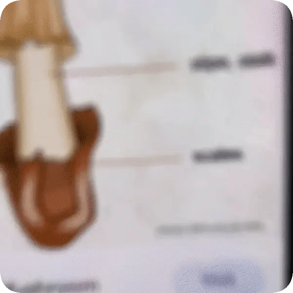 60% OFF TODAY  Stickify™ - Print directly from your phone!