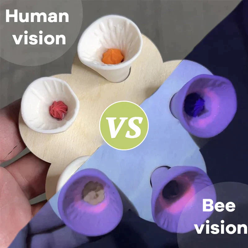 50% OFF TODAY | BeeQuench™ - Set of 5 Bee Insect Drinking Cups