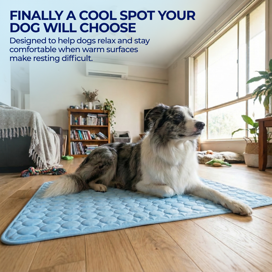 1 + 1 FREE TODAY | ArcticRest™ - Cooling Mat