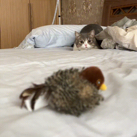 1+1 FREE TODAY  FuzzyTweet™ – Interactive Cat Toy