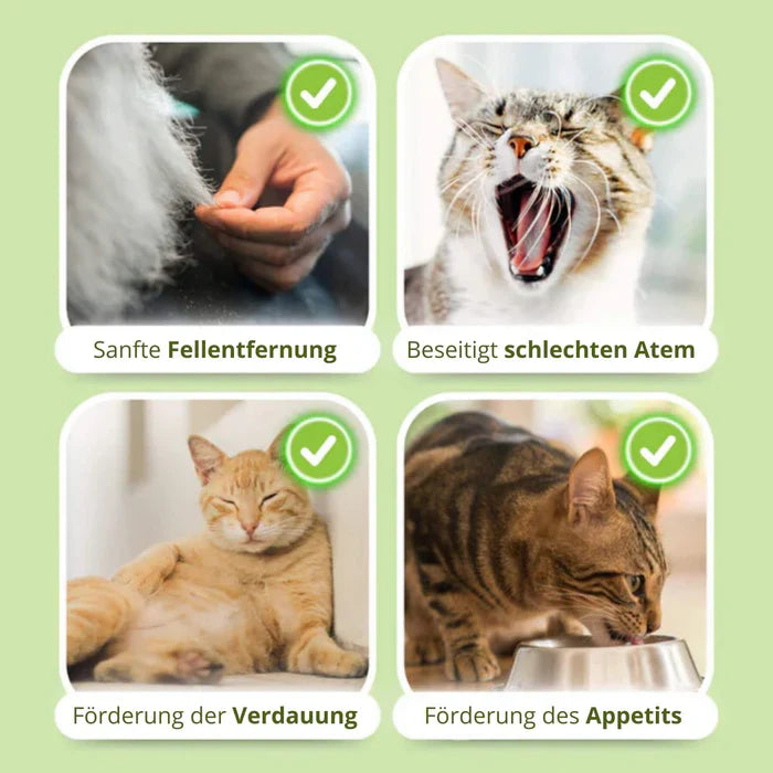 1+1 FREE TODAY | WhiskerWonder™ | Healthy Chew Treats for a Happy, Hairball-Free Cat!