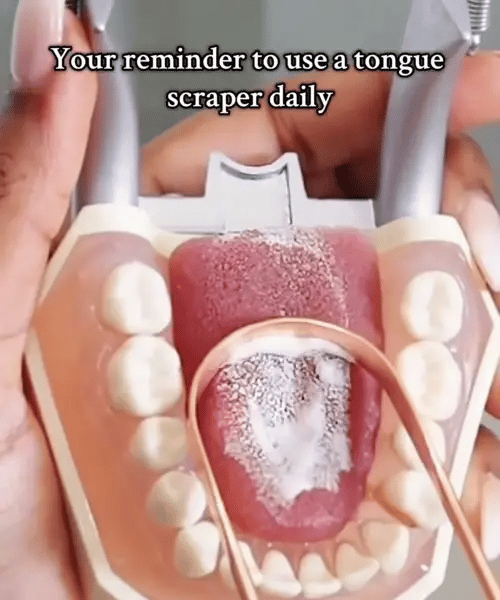 50% OFF TODAY  ScrapeFresh™ - Tongue Scraper