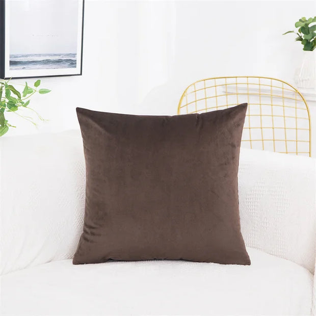 Velvet Pillow Cover
