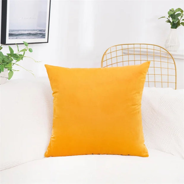 Velvet Pillow Cover