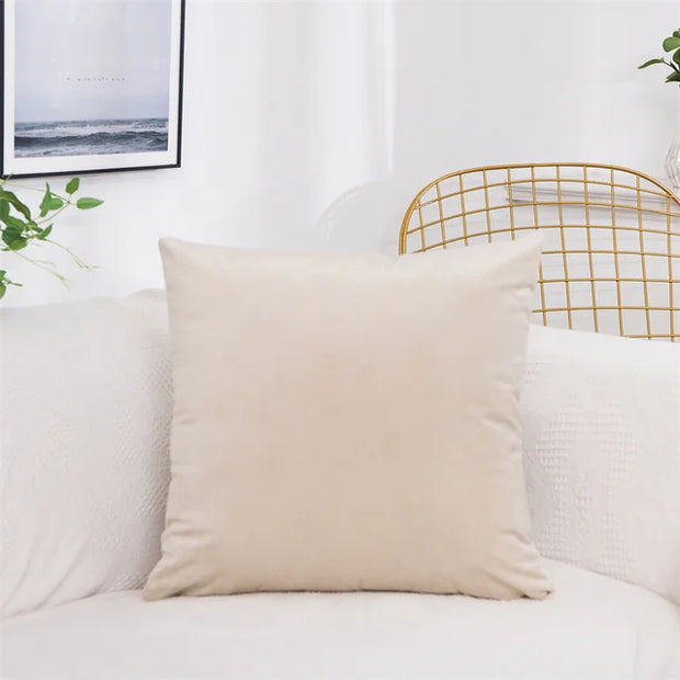 Velvet Pillow Cover
