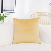 Velvet Pillow Cover
