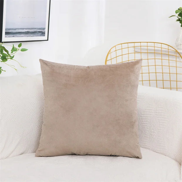 Velvet Pillow Cover