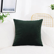 Velvet Pillow Cover