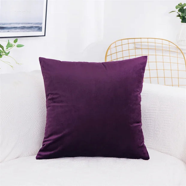 Velvet Pillow Cover