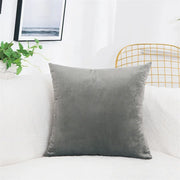 Velvet Pillow Cover
