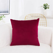 Velvet Pillow Cover